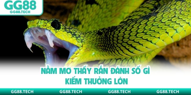 Nằm mơ thấy rắn đánh số gì kiếm thưởng lớn