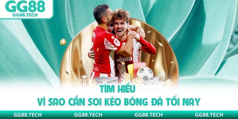 Tìm hiểu vì sao cần soi kèo bóng đá tối nay